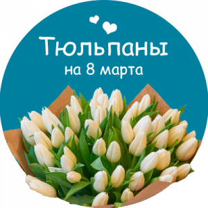 Купить тюльпаны в Вытегре